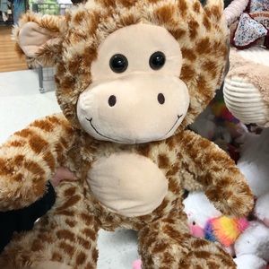 Meet your Posher, Jenn